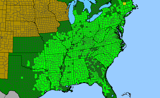 The range of Cornus florida